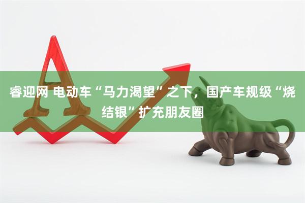 睿迎网 电动车“马力渴望”之下，国产车规级“烧结银”扩充朋友圈