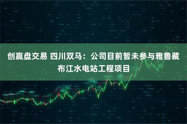 创赢盘交易 四川双马：公司目前暂未参与雅鲁藏布江水电站工程项目